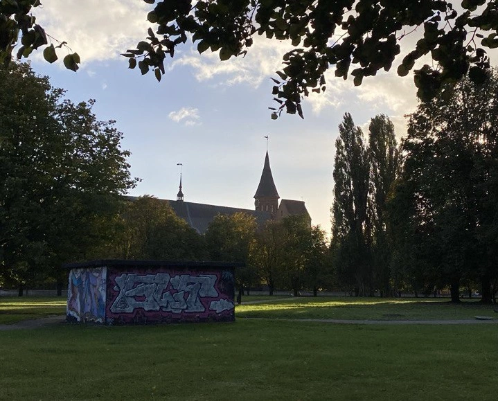 Надежда Будрина