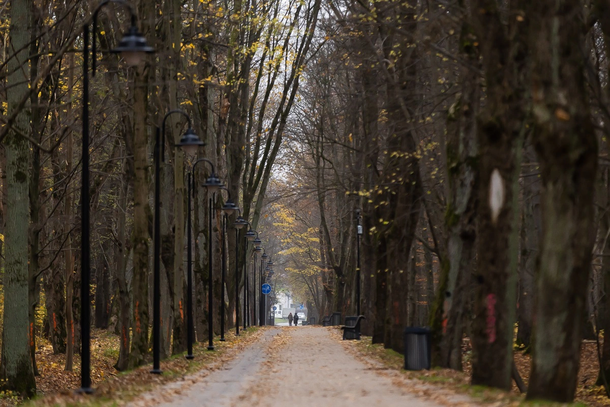 Александр Подгорчук