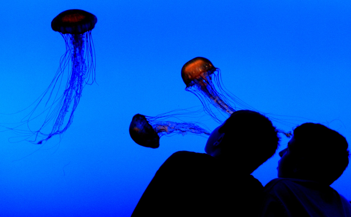 Streeter Lecka / Getty Images