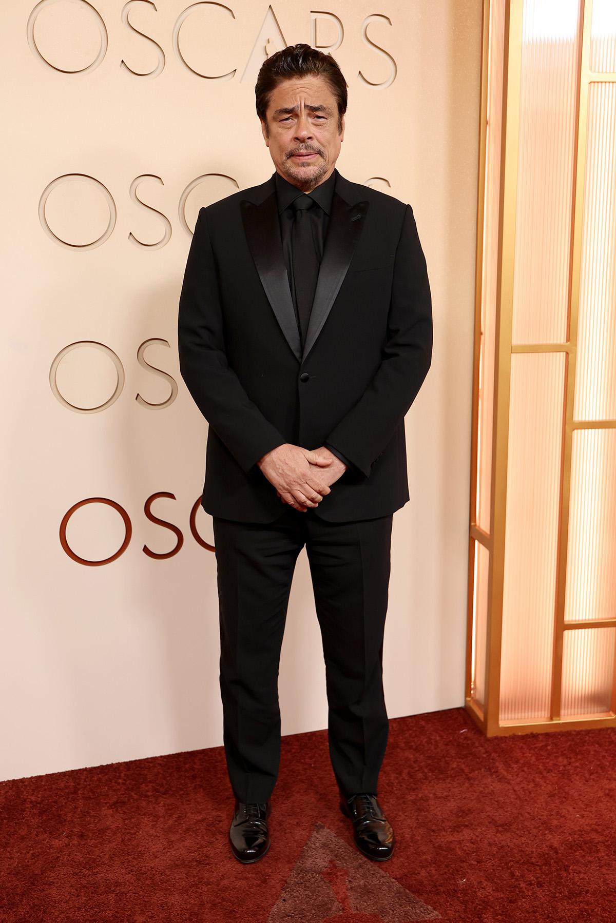 Актер Бенисио Дель Торо, «Артисты»