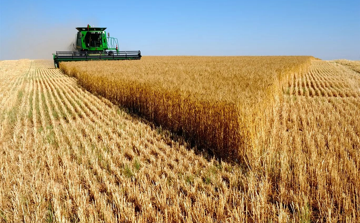 Экспорт зерновых на Кубани удержится в 2018 году на уровне прошлого года