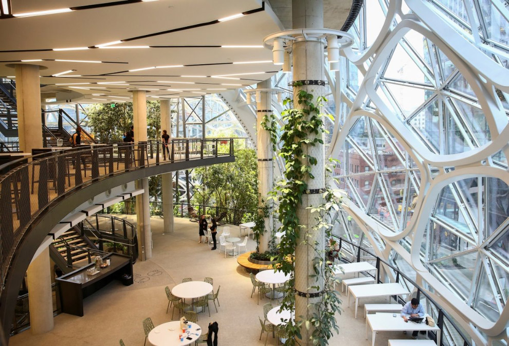 Корпоративный ботанический сад Amazon Spheres во дворе штаб-квартиры компании в Сиэтле