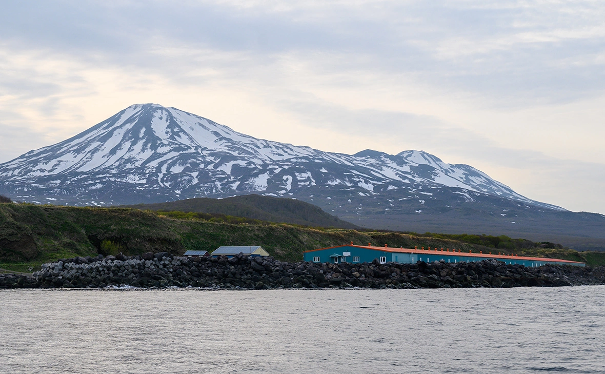 Сергей Красноухов / РИА Новости