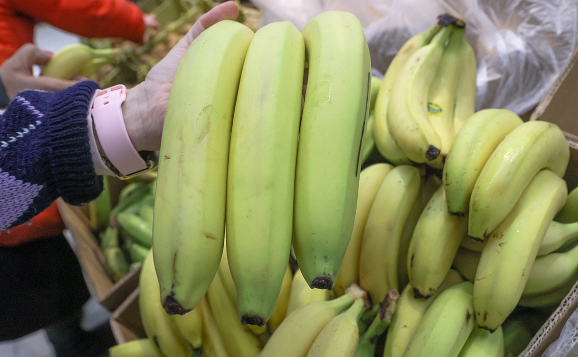 Сергей Булкин / Global Look Press