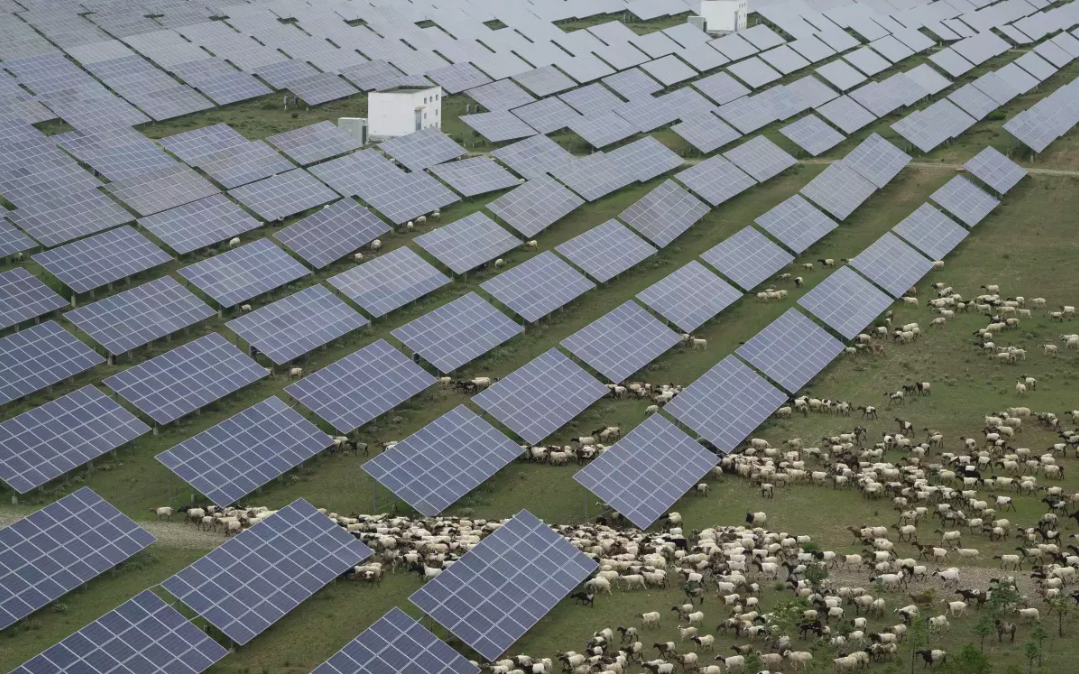 Часть установленных солнечных панелей на Тибетском нагорье