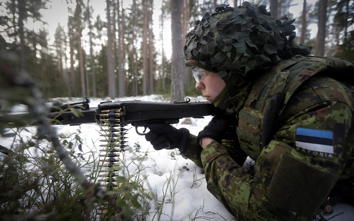 Посол заявил о планах Запада дать Эстонии угрожающее Петербургу оружие