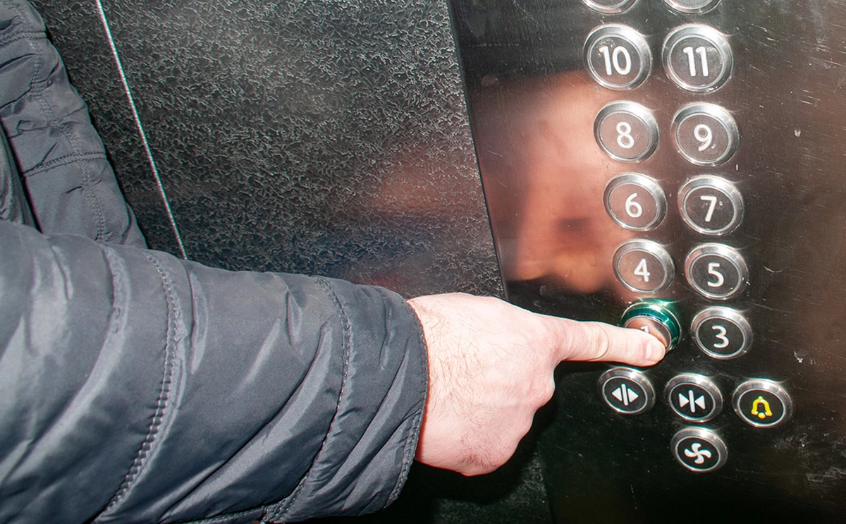 Светлана Возмилова / Global Look Press