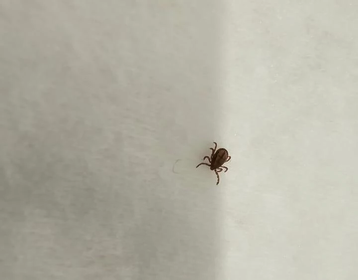 Управление Роспотребнадзора по Приморскому краю