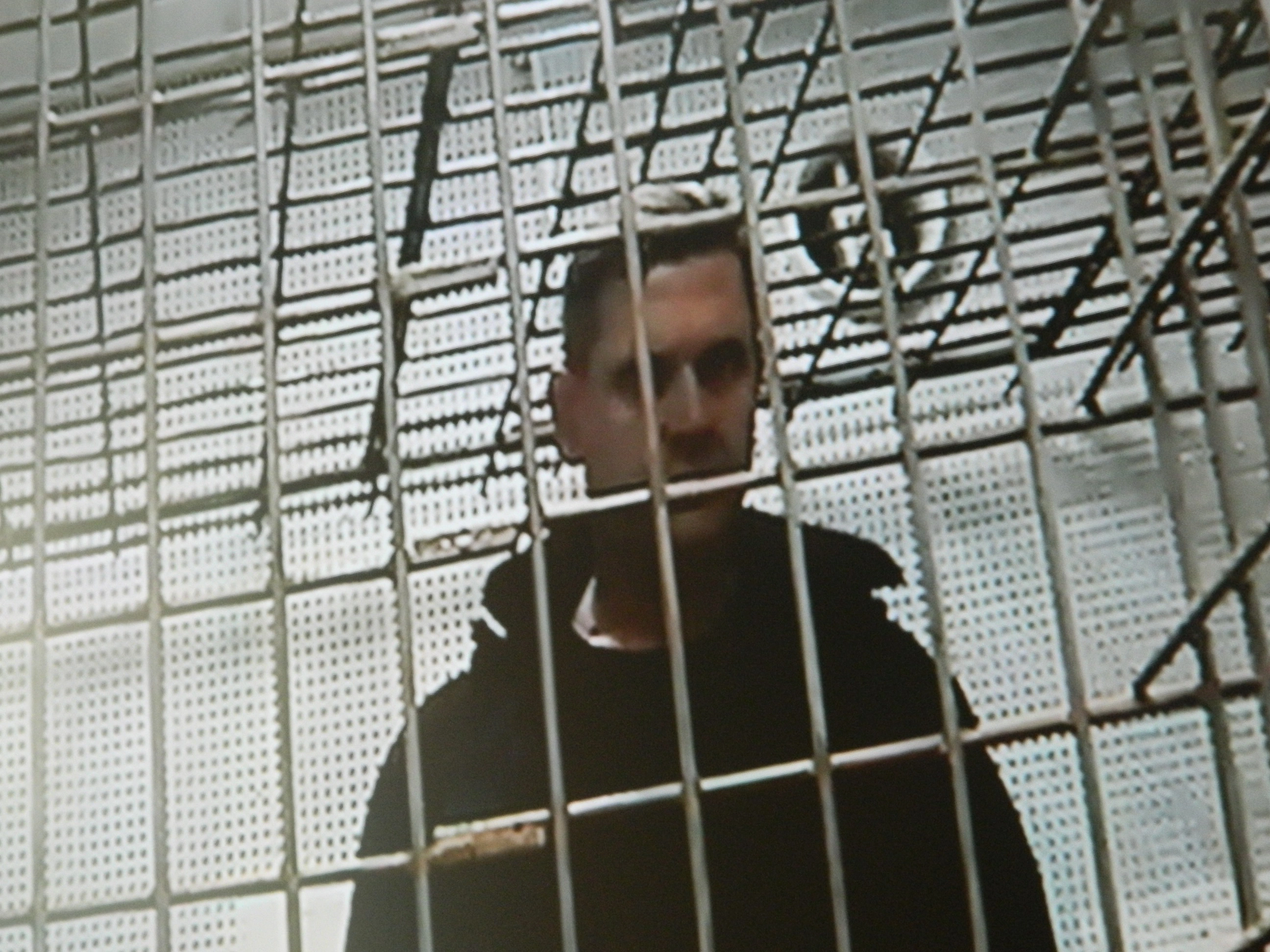 Михаил Лобанов