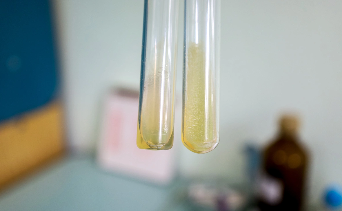 Елена Майорова / Global Look Press