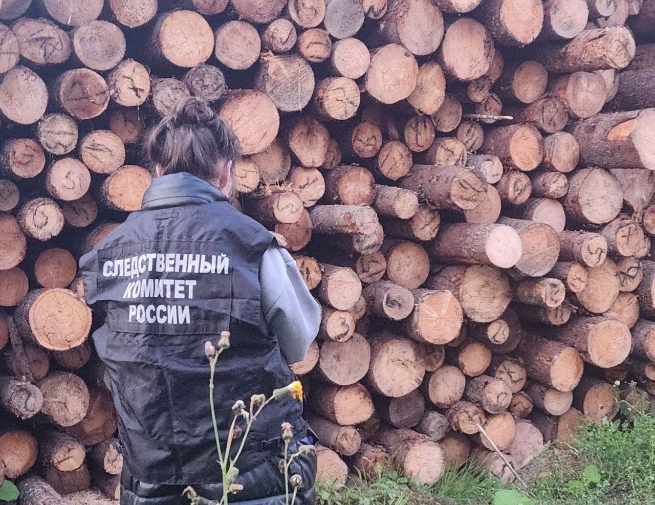 Фото: СУ СКР по Пермскому краю