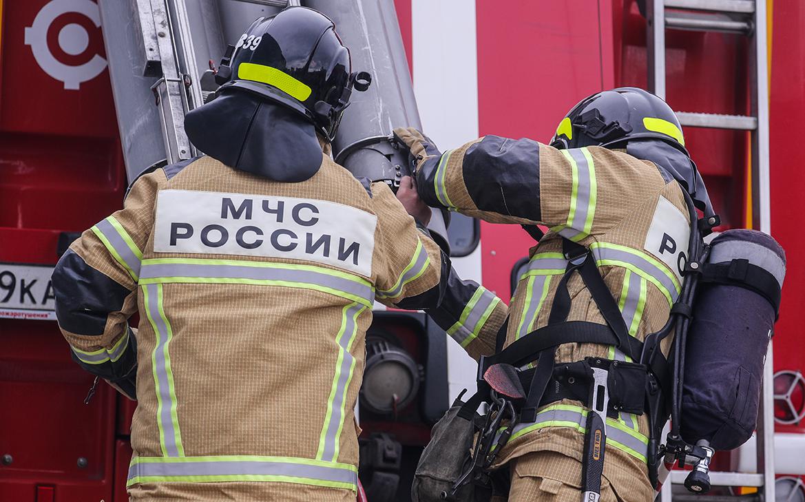 https://s0.rbk.ru/v6_top_pics/media/img/5/24/347599861774245.jpeg