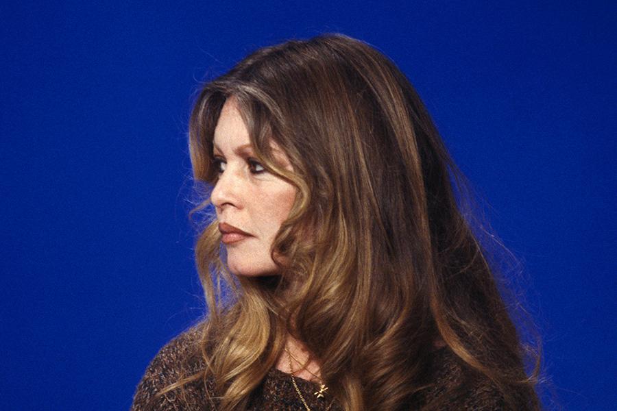 Французская актриса Брижит Бардо, 1979 год