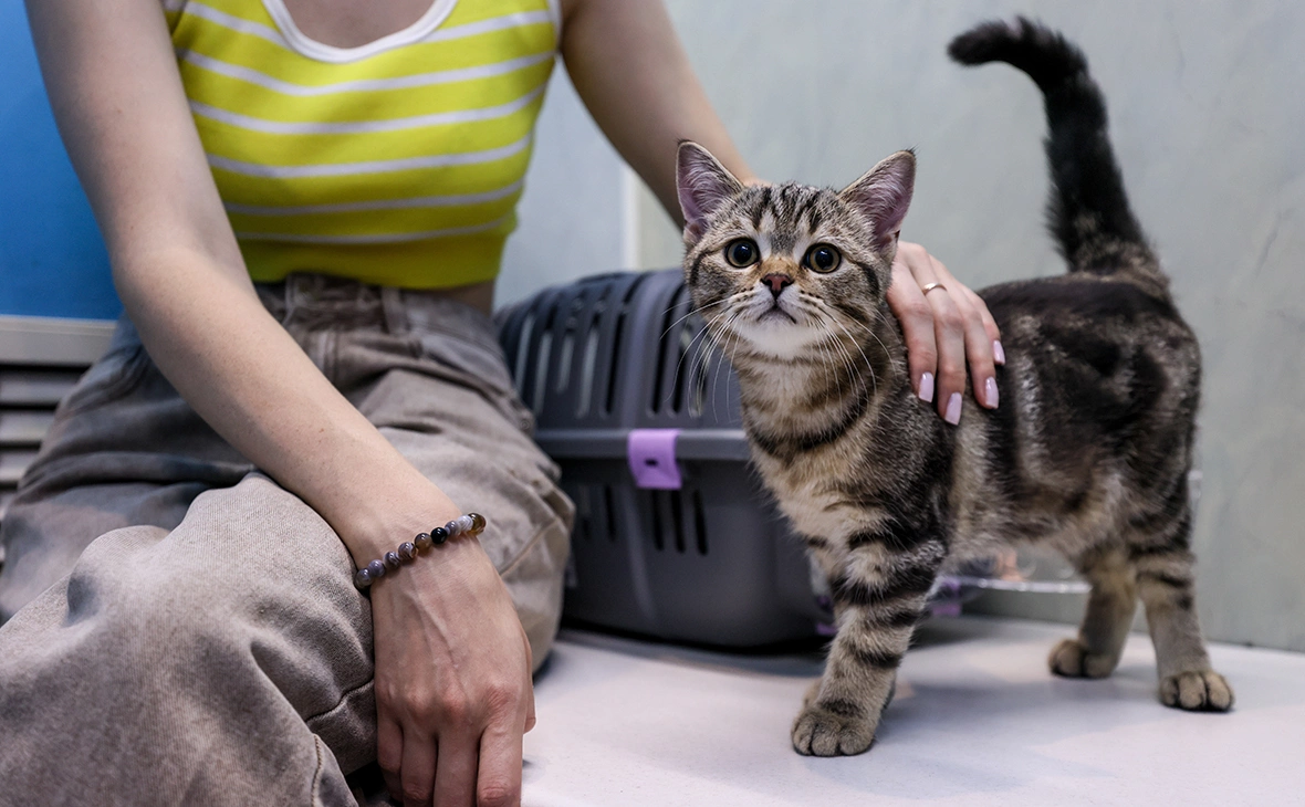 Александр Река / ТАСС