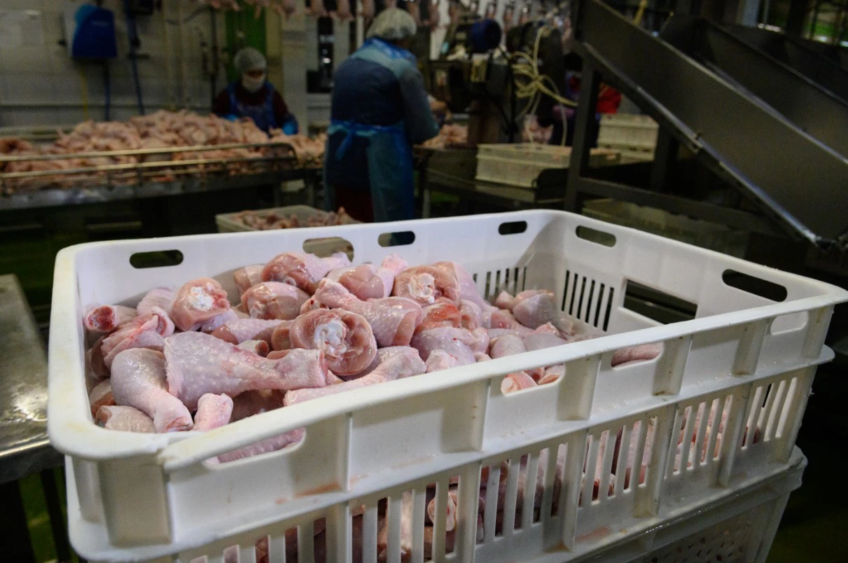 Владимир Жабриков / URA.RU