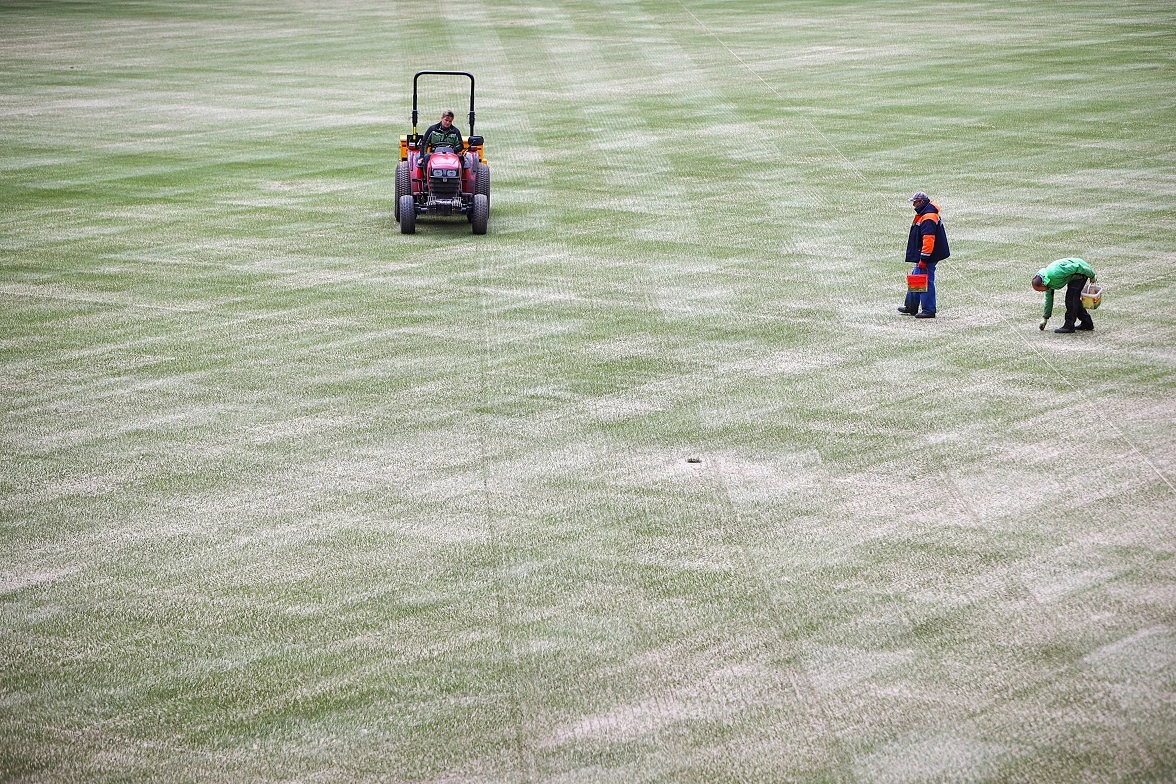 Александр Подгорчук