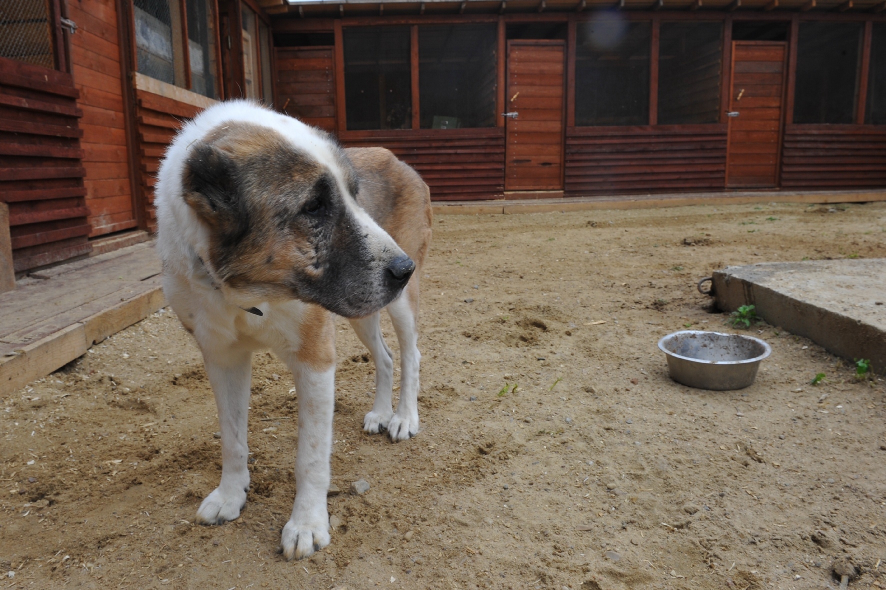 Фото: Комсомольская правда / PhotoXPress.ru