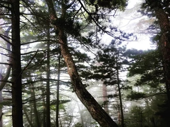 Фото: РБК Приморье