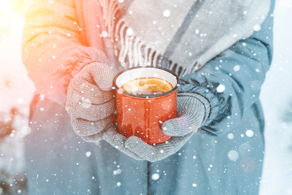 Зачем ехать на винодельню в новогодние праздники: десять причин