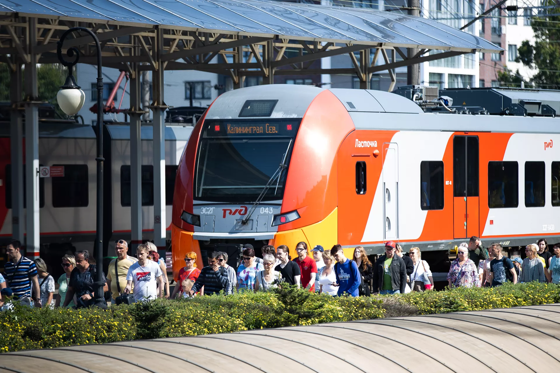 Александр Подгорчук