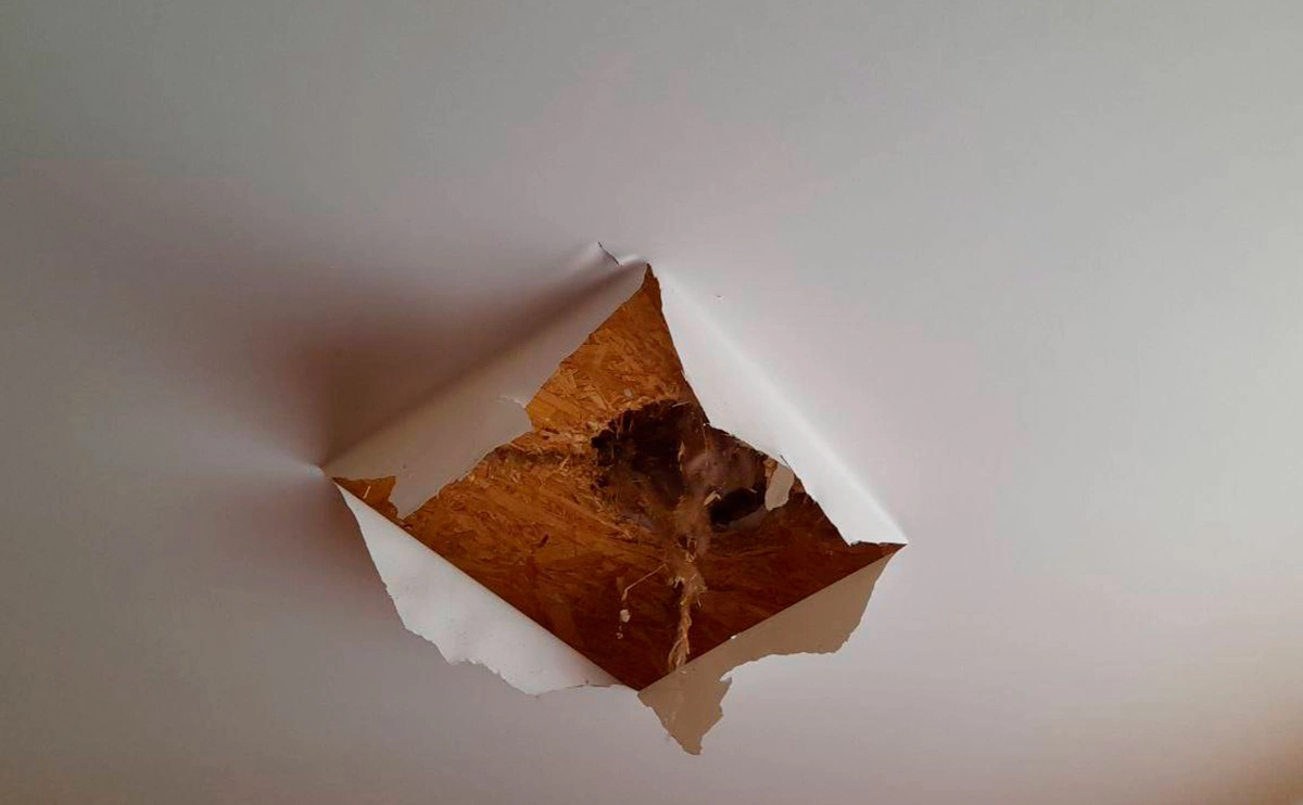 vvgladkov / Telegram