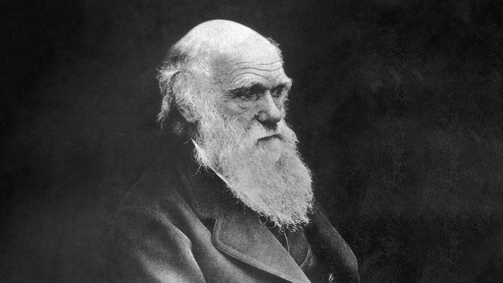 <p>Чарльз Дарвин</p>

<p></p>