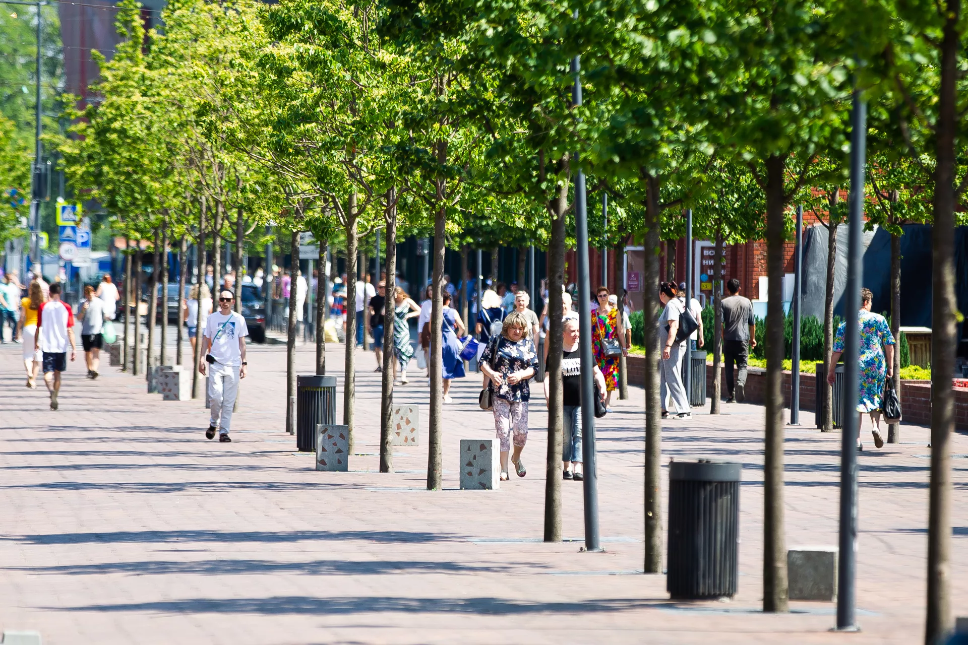 Александр Подгорчук