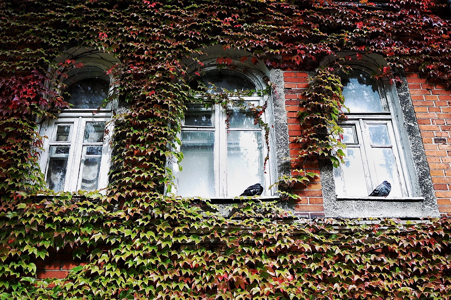 Александр Подгорчук