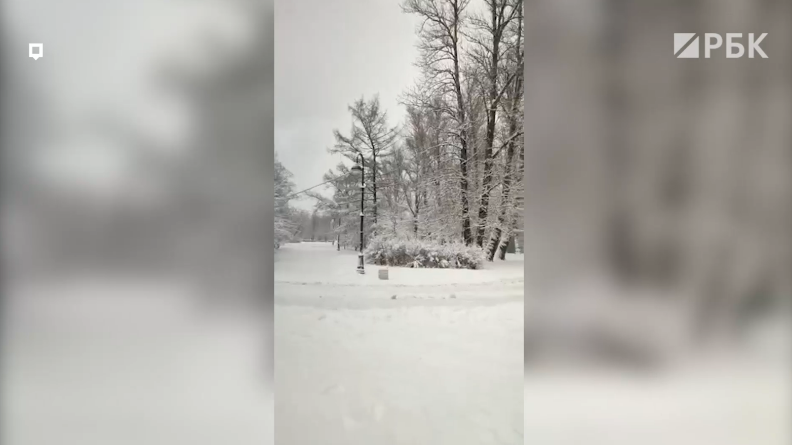 Мощный снегопад принес в Петербург сугробы декабрьского уровня