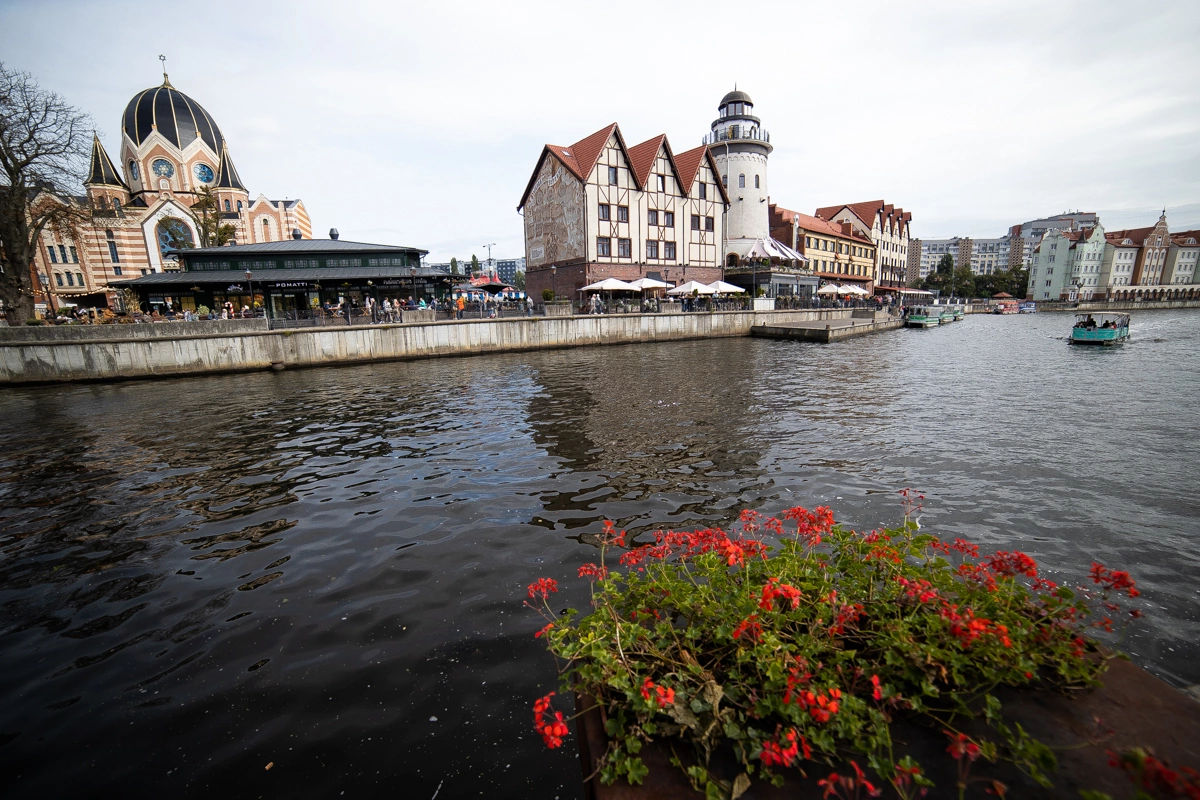 Александр Подгорчук