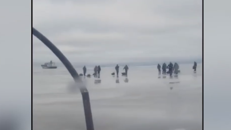 Льдину с 35 рыбаками оторвало от берега в Финском заливе