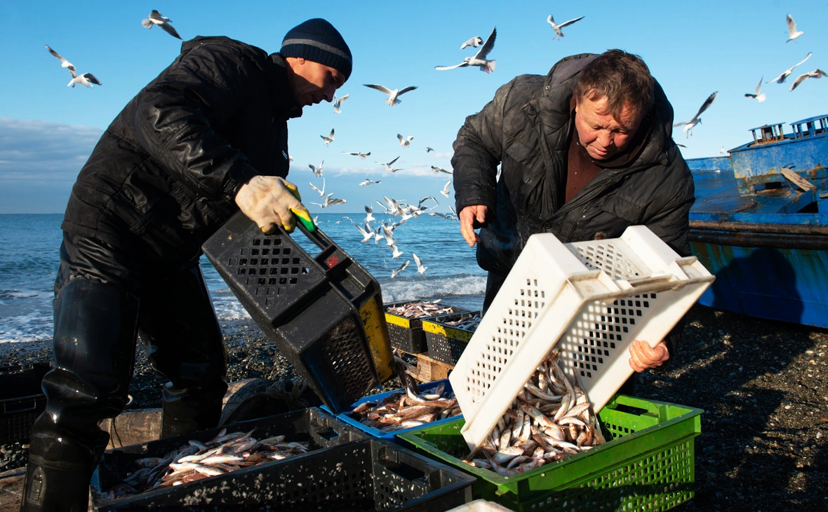 Артур Лебедев / РИА Новости