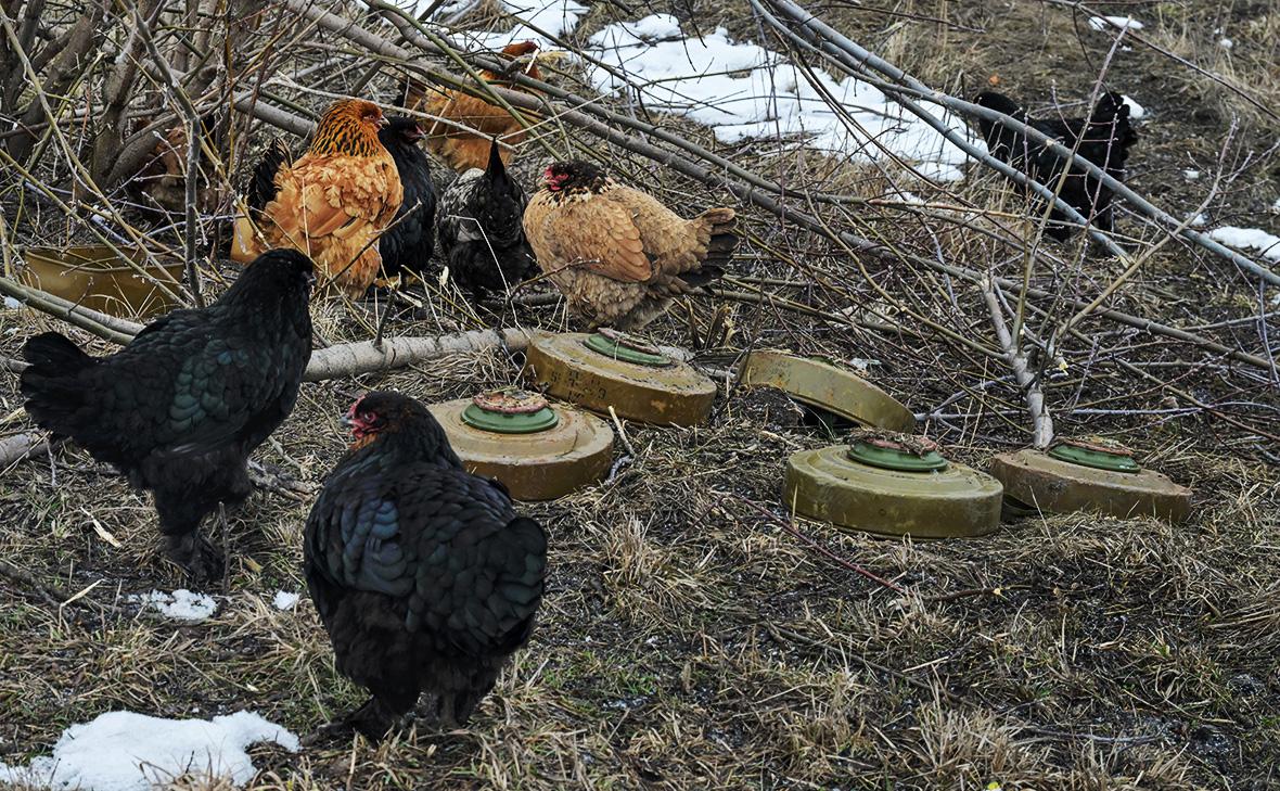 Стоимость восстановления Курской области определят после разминирования