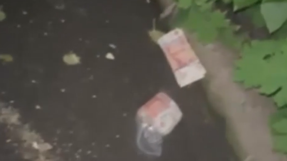 СК снял на видео деньги, которые глава Колпино выкинул в окно во время обыска