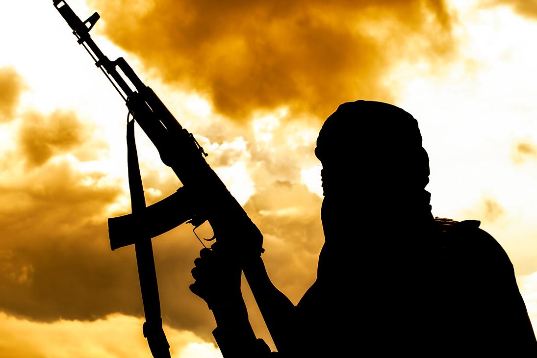 Getmilitaryphotos / Shutterstock