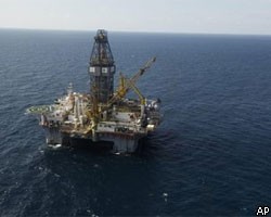 К утечке нефти в Мексиканском заливе привели ошибки компаний