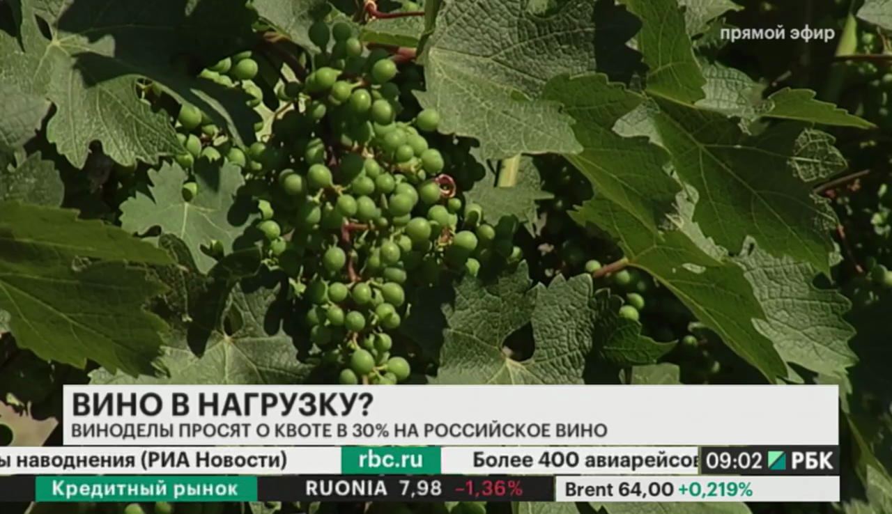 Медведев поручил проработать введение квоты для российских вин в рознице
