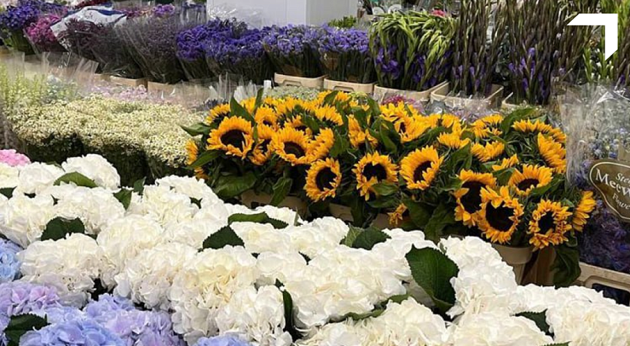 Правительство Пермского края