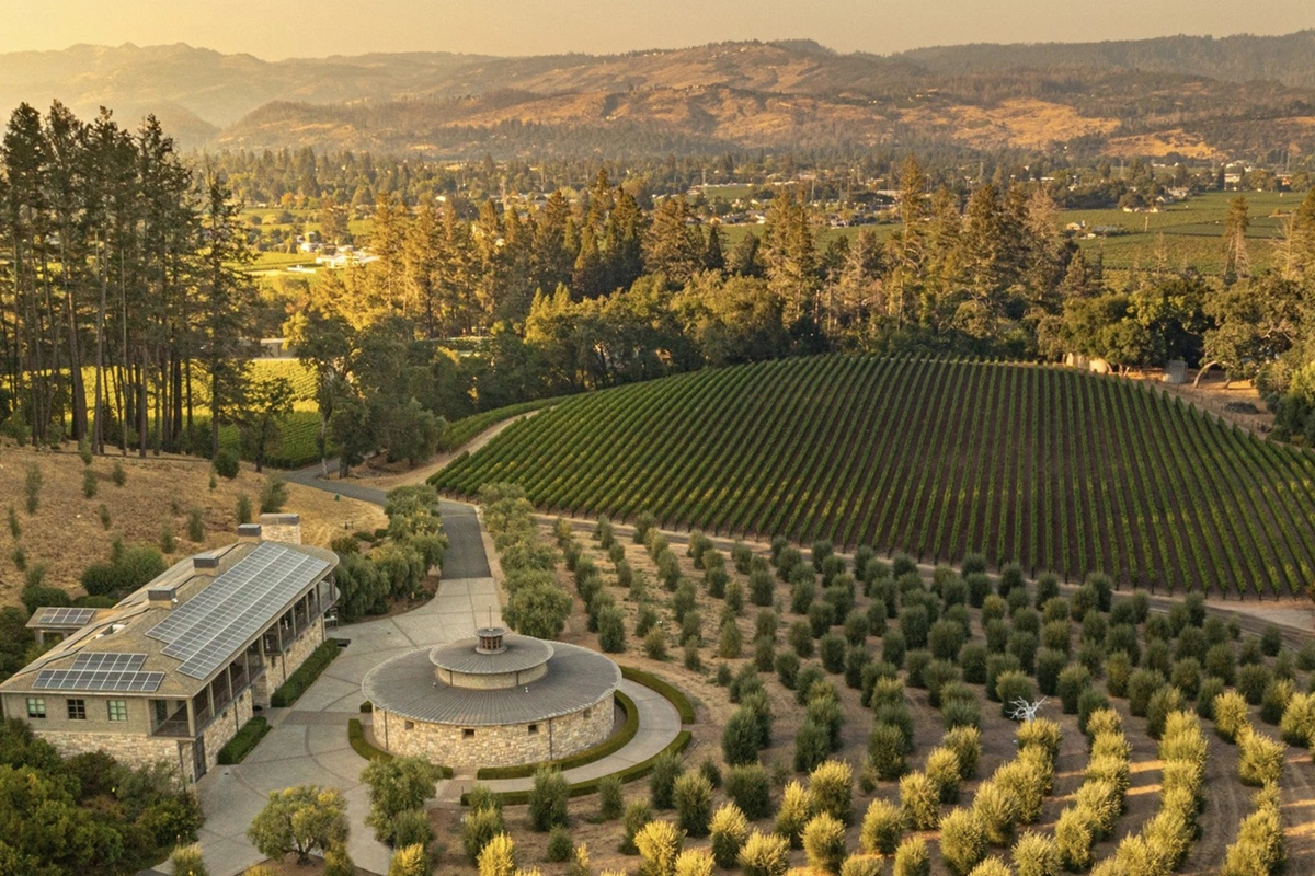Marciano Estate
