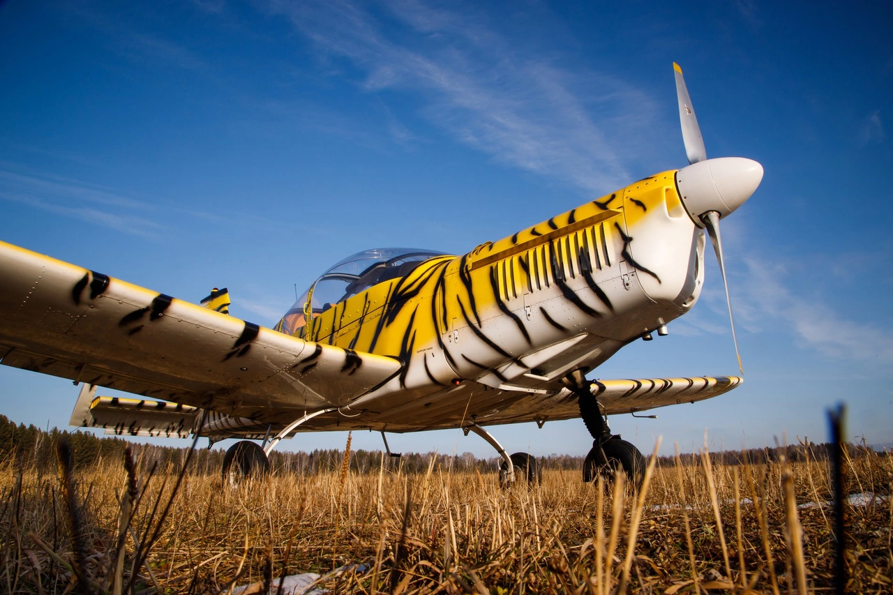 Александр Мамаев / РИА URA.RU