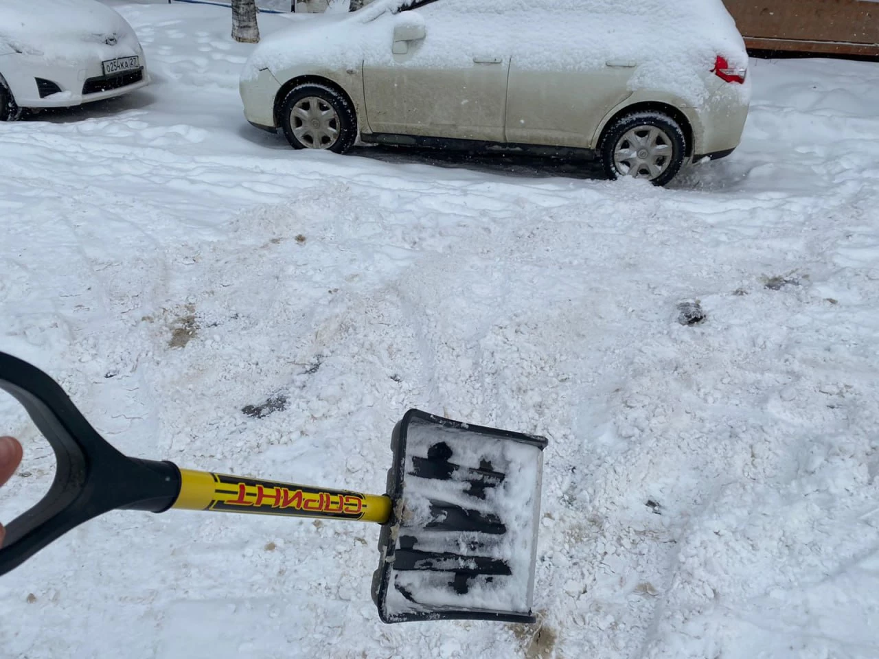 РБК Приморье