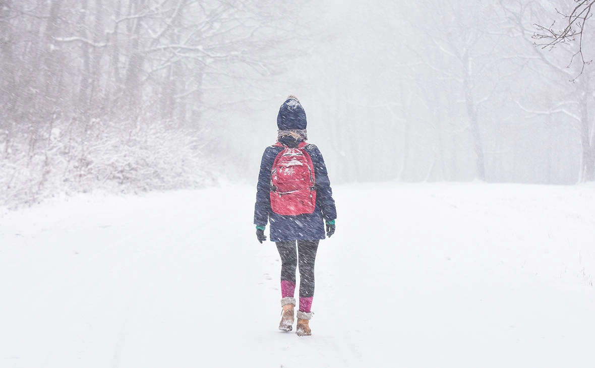 SoneNS / Shutterstock