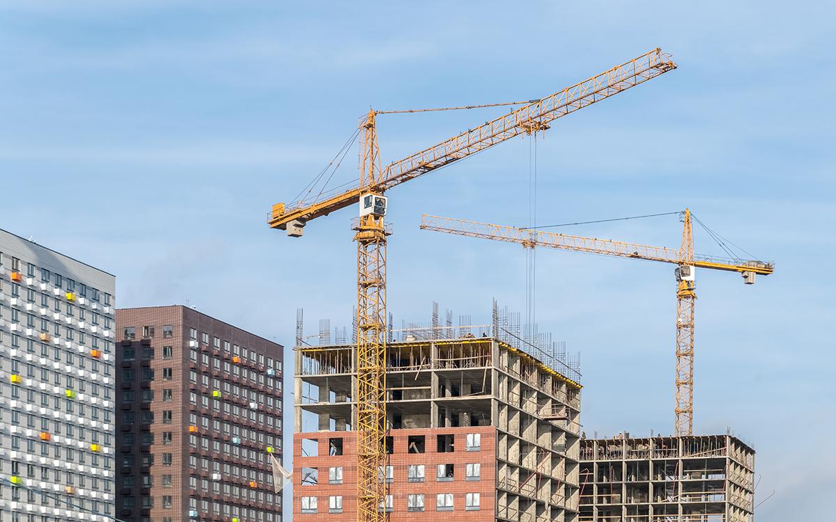 Фото: Kleymenov Valery / Shutterstock / FOTODOM