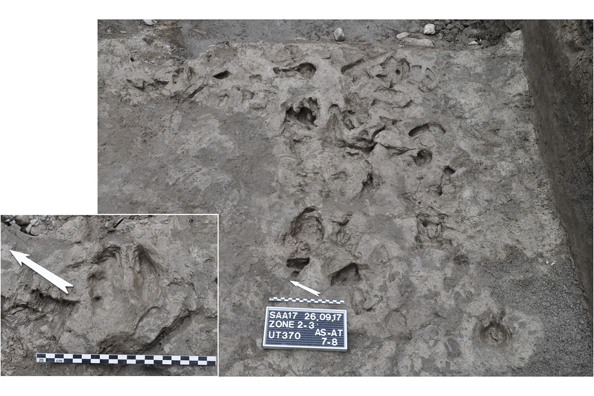 <p>Следы от копыт животных, найденные на месте раскопок в Швейцарии</p>
