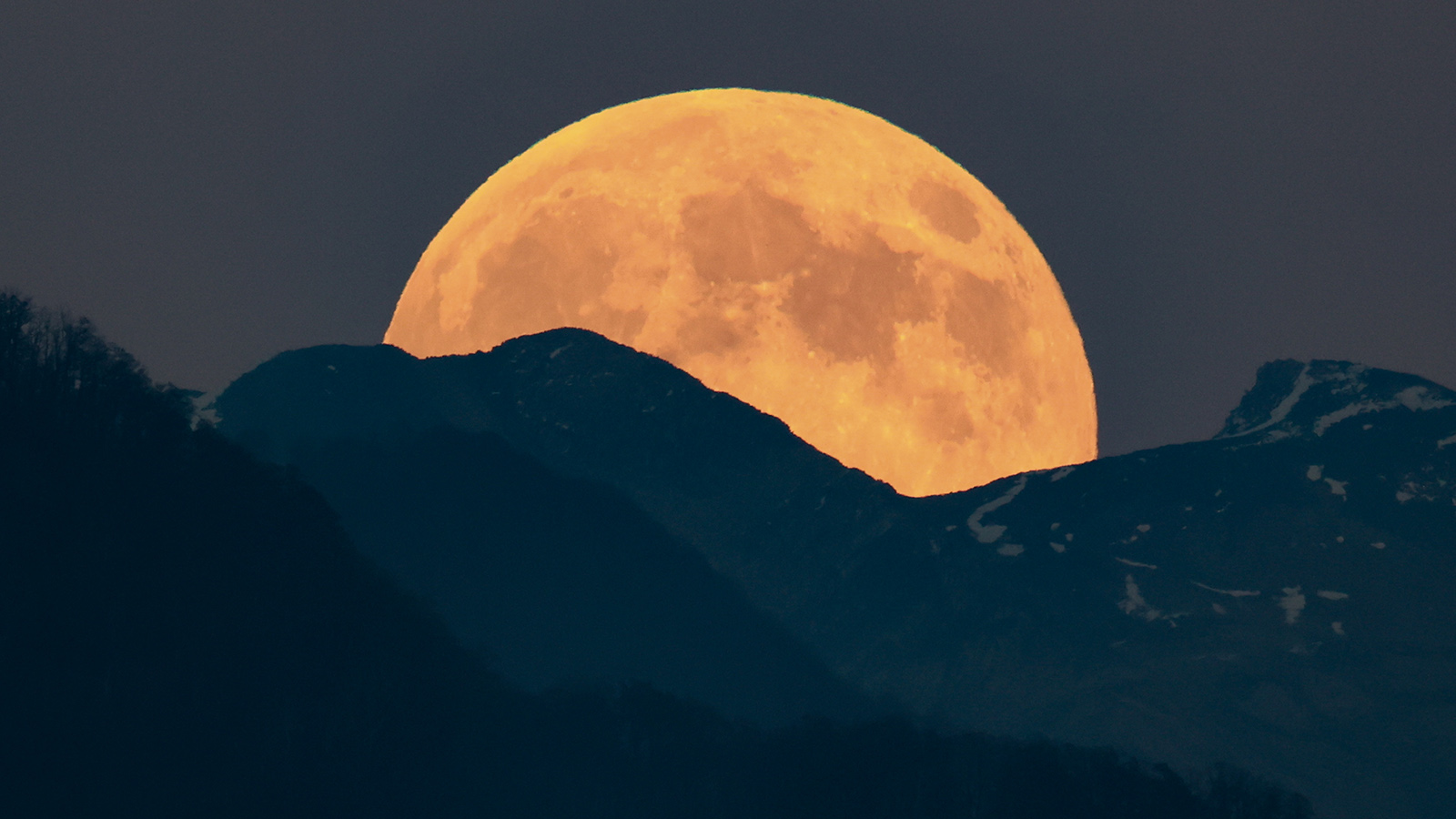 «Бобровая луна». Сочи, Россия, 5 ноября 2025 года