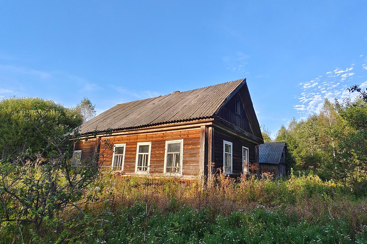 Спрос на избы: за сколько и почему россияне покупают дома в деревне