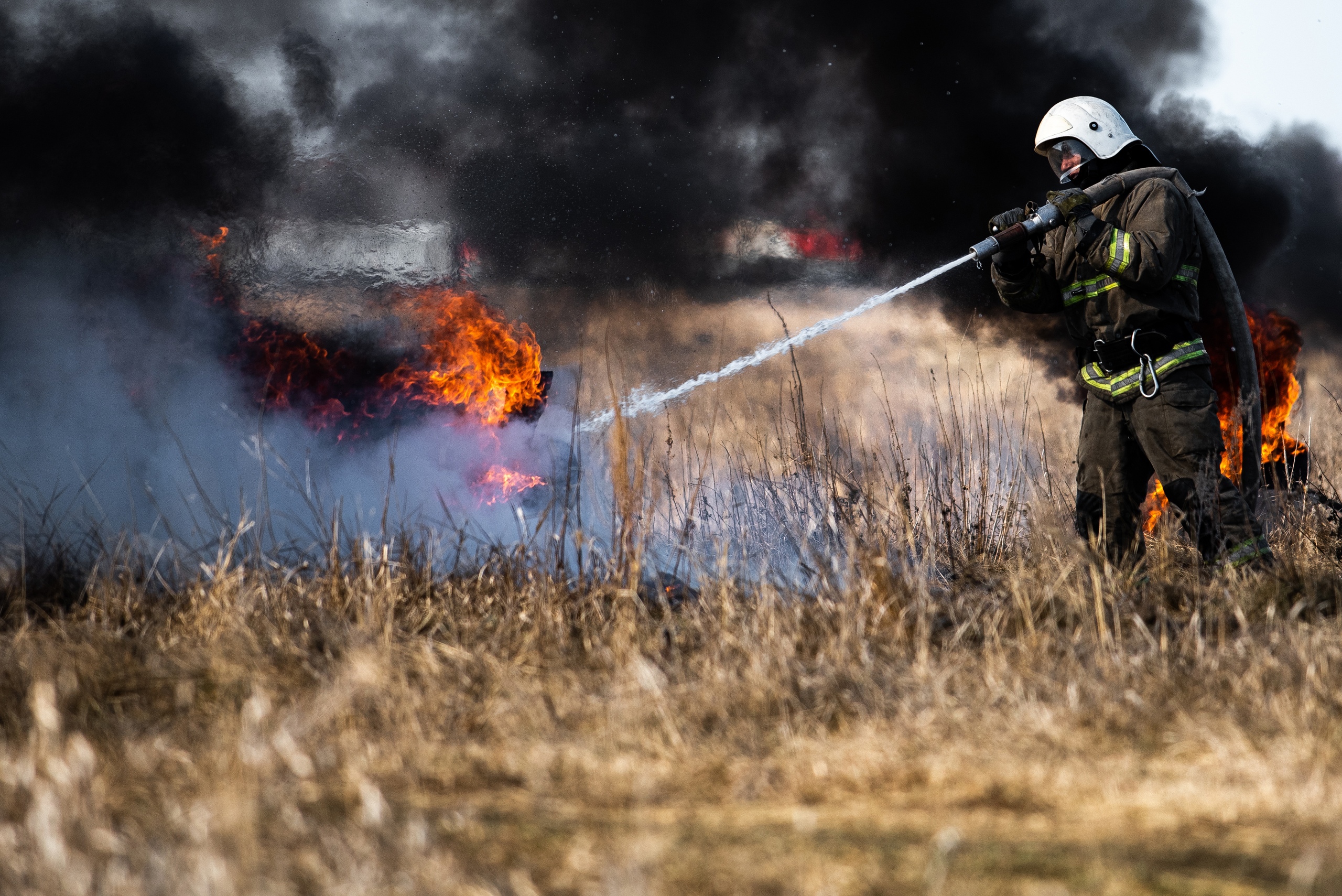 В 2021 году природные пожары повредили 190 тыс. гектаров земель
