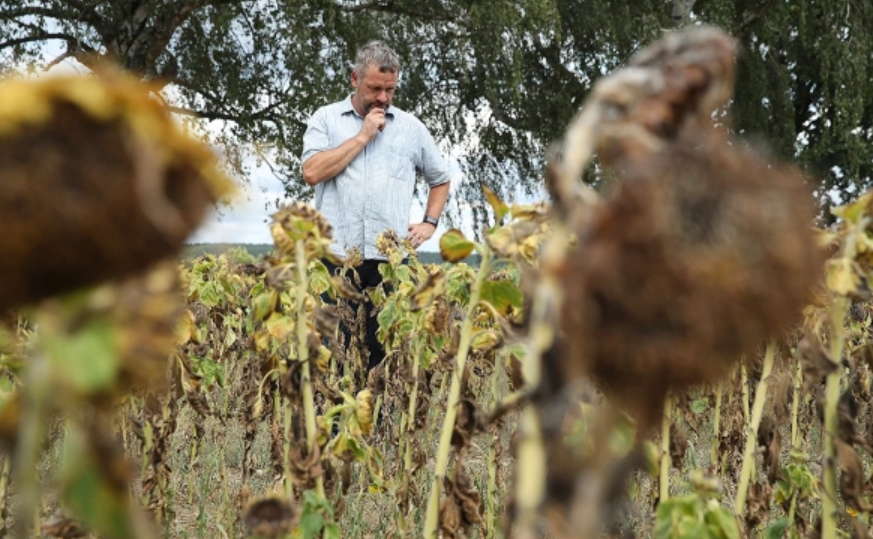 Sean Gallup / Getty Images