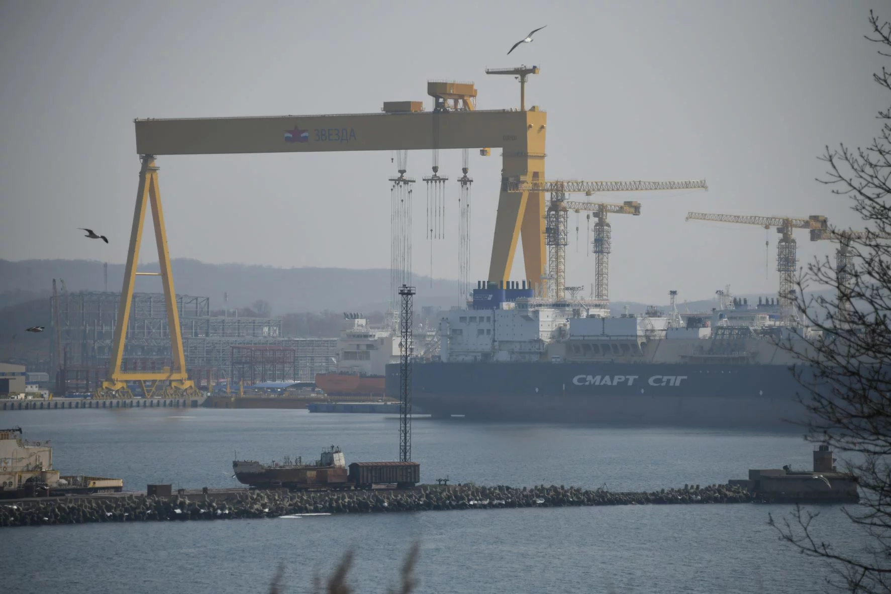 РБК Приморье 