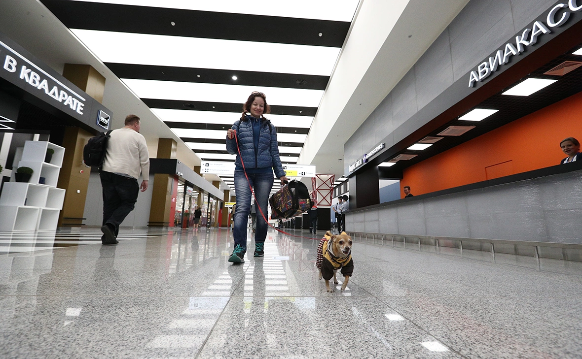 Андрей Любимов / РБК